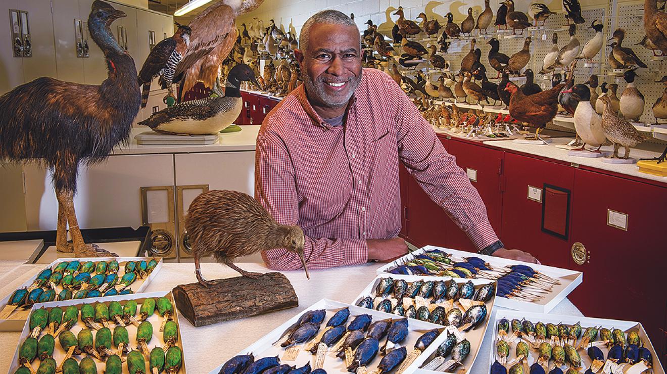 Scott Edwards photographed in the ornithology collection