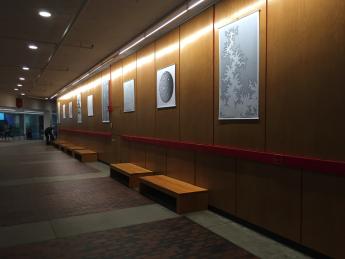 Curtis McMullen's prints hang in the Science Center lobby