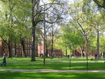 Photograph of Harvard Yard 