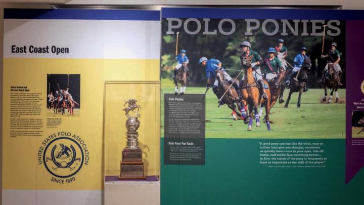 A display about polo, which still attracts fans and players in Massachusetts and at Harvard.